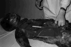 alien autopsy